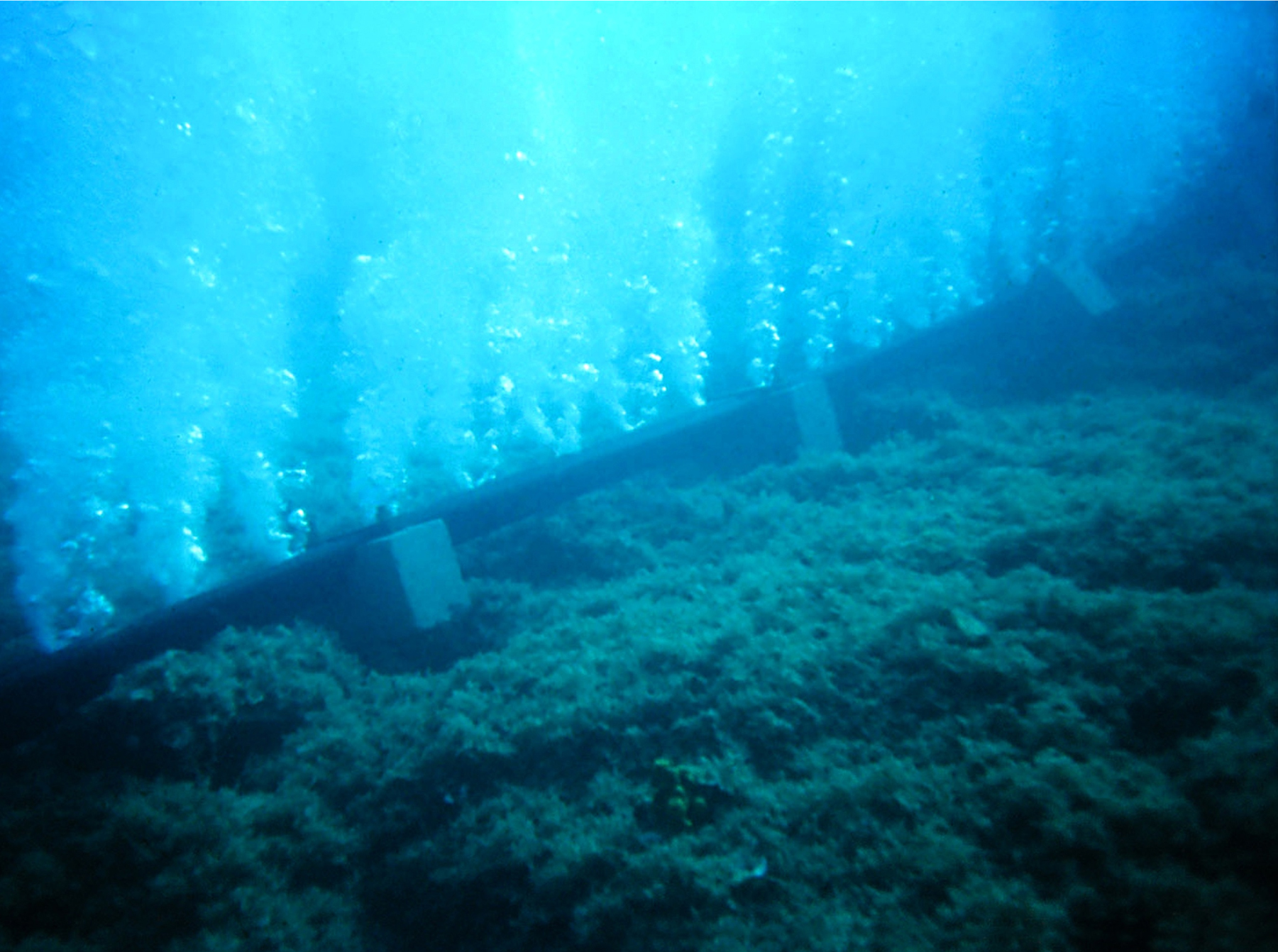 An underwater view of the bubble curtain.