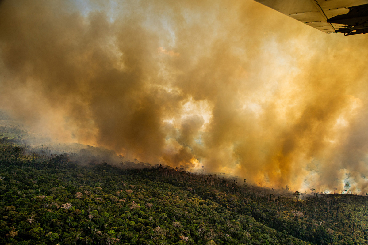 Fires burning in the Amazon on August 17 next to the borders of the Kaxarari Indigenous territory, in Labrea, Amazonas state. Felled forests are intentionally lit in the Amazon to clear land for cattle ranching. Photo by: Christian Braga / Greenpeace