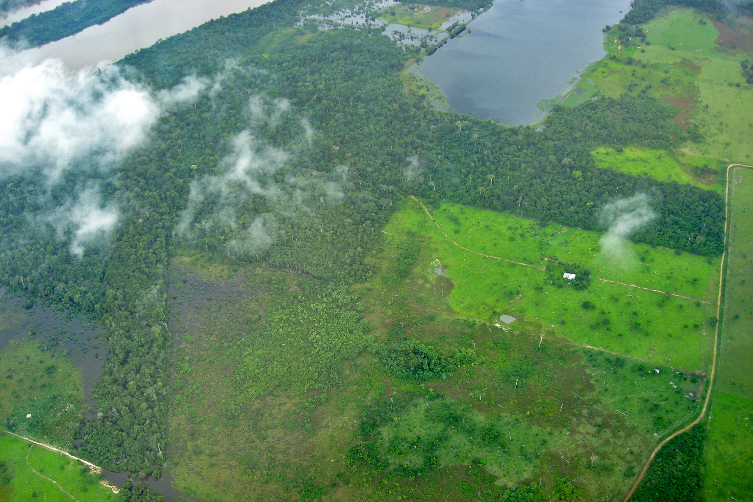 Aerial view of the Brazilian Amazon [or deforestation in the Brazilian Amazon] taken from the small aircraft used to measure carbon emissions. Photo courtesy of Luciana Gatti. 