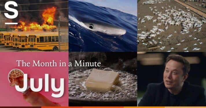 A collage of news images. Text reads: The Month in a Minute: July